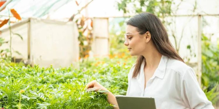 ¿La búsqueda de valor sostenible es una prioridad real en las empresas?