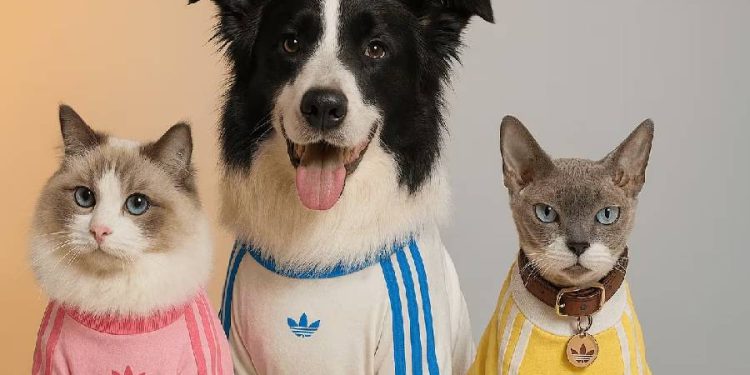 Adidas Originals conquista China con moda para mascotas