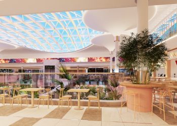 Andino se renueva, inversión de $50.000 millones impulsa su expansión y modernización