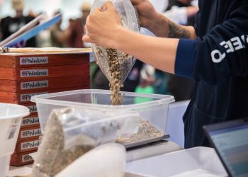 Cafés de Colombia Expo 2025, salud, tradición e innovación en cada taza