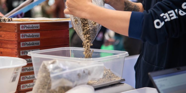 Cafés de Colombia Expo 2025, salud, tradición e innovación en cada taza