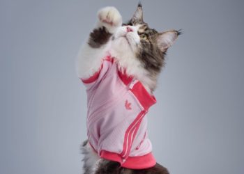 Adidas lanza colección streetwear para mascotas