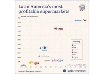 Carrefour Brasil, el gigante escondido: ¿Qué dice su liderazgo sobre el empleo y la economía?