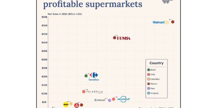 Carrefour Brasil, el gigante escondido: ¿Qué dice su liderazgo sobre el empleo y la economía?