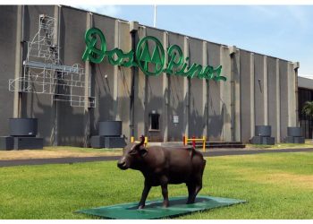 Cooperativa Dos Pinos: El Gigante Lácteo que Trascendió con la Fuerza de la Solidaridad y el Orgullo Centroamericano 