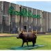 Cooperativa Dos Pinos: El Gigante Lácteo que Trascendió con la Fuerza de la Solidaridad y el Orgullo Centroamericano