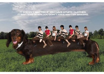 El Dachshund conquista el streetwear