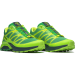 XT-PATHWAY 2 FERXXO