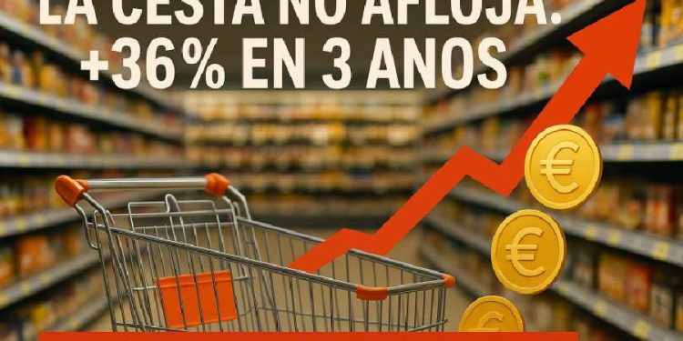 La cesta nos marca el ritmo