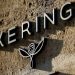 Mercado de lujo en juego: Kering podría vender su cosmética a L’Oréal