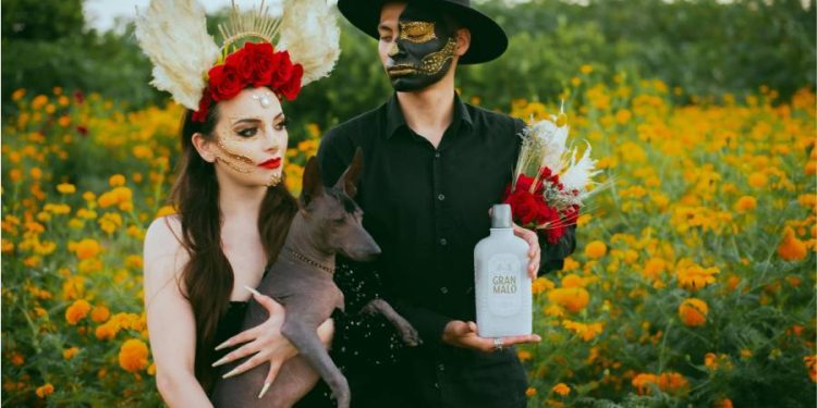 Día de Muertos: Cuándo y cómo honrar a las mascotas con una ofrenda especial