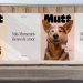 Mutt redefine su propósito y se convierte en la primera marca mexicana de pet wellness
