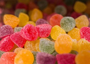 Fábrica de Ideas 2.0 impulsa productos innovadores como gomitas para mascotas