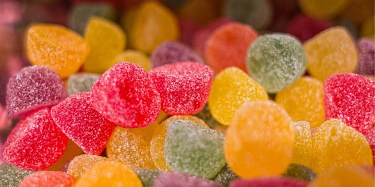 Fábrica de Ideas 2.0 impulsa productos innovadores como gomitas para mascotas