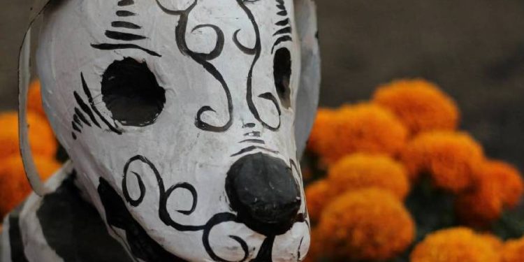 Altares de recuerdo para mascotas: Una nueva dimensión del Día de Muertos