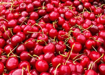 cerezas