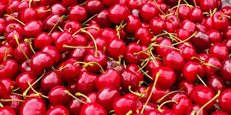 cerezas