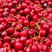 cerezas