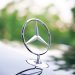 LM Group impulsa el estilo marbellí en alianza con Mercedes-Benz Fashion Week Azerbaijan
