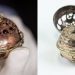 Conoce el reloj de lujo más antiguo del mundo y su historia