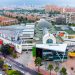 Bulevar Niza se viste de ilusión, un millón de visitantes para esta Navidad
