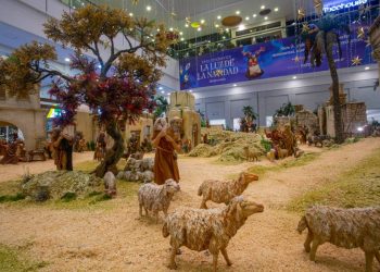 Medellín brilla en El Tesoro, una navidad encendida por la magia y la tradición