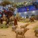 Medellín brilla en El Tesoro, una navidad encendida por la magia y la tradición