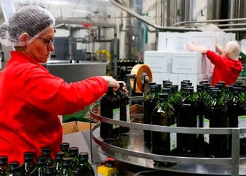Fraude del Aceite: El Escándalo que Sacude a Europa