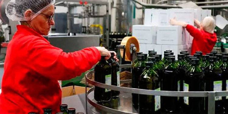 Fraude del Aceite: El Escándalo que Sacude a Europa