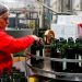 Fraude del Aceite: El Escándalo que Sacude a Europa