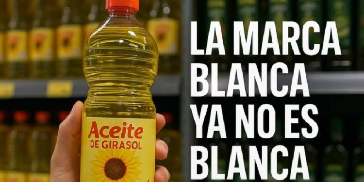 La marca propia: De Low Cost a arma estratégica en el retail
