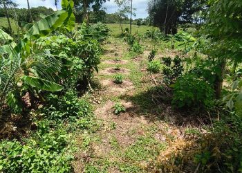 Terrasos presenta modelo para transformar la conservación en inversión sostenible
