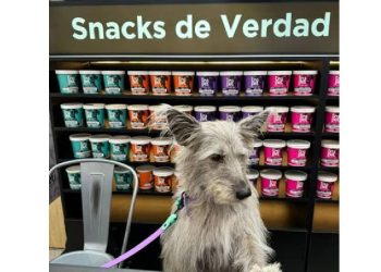 El emprendimiento que está redefiniendo la industria de alimentos para mascotas