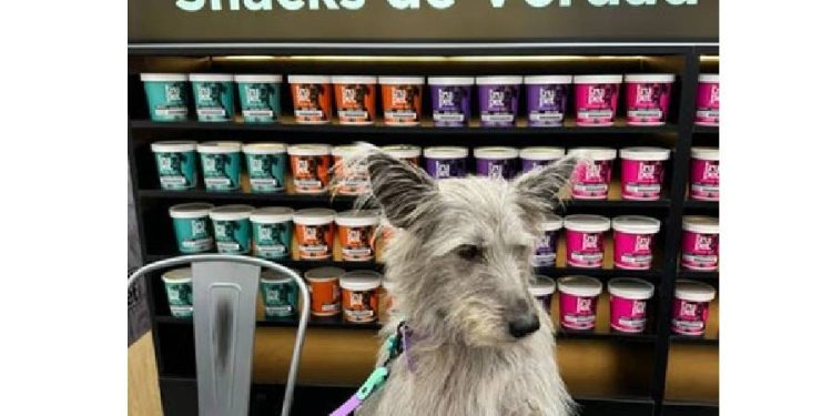 El emprendimiento que está redefiniendo la industria de alimentos para mascotas