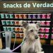 El emprendimiento que está redefiniendo la industria de alimentos para mascotas