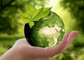 Retail del futuro: Más allá del material reciclado