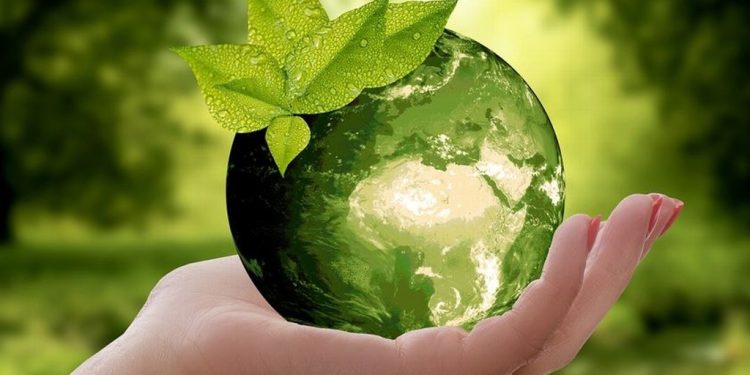 Retail del futuro: Más allá del material reciclado