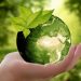 Retail del futuro: Más allá del material reciclado