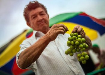 Colombia acelera su turismo con destinos sostenibles y competitivos rumbo a 2026