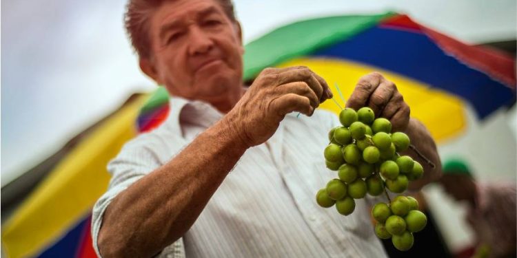 Colombia acelera su turismo con destinos sostenibles y competitivos rumbo a 2026