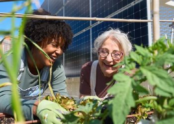 El despertar verde: España lidera la revolución del consumo sostenible