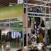Falabella impulsa la sostenibilidad en temporada navideña