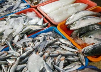 La acuicultura en España: Motor económico silencioso y clave del consumo pesquero