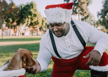 Consiente a tu perro en Navidad con una cena especial y segura para él