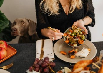 Verduras en la dieta canina: Beneficios reales, riesgos ocultos y claves seguras
