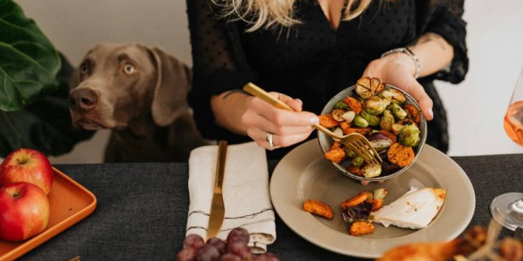 Verduras en la dieta canina: Beneficios reales, riesgos ocultos y claves seguras