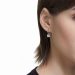 Pendientes Swarovski Imber: brillo sobrio que transforma tu look