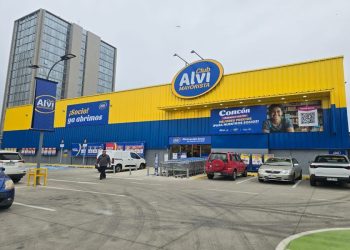 alvi mayorista