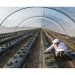 Alimentos eco: El alza de precios frena un consumo histórico