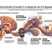 El mito de la razón: Por qué compramos con la biología